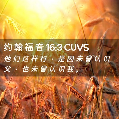 Picture 02 - 约 翰 福 音 16:3 CUVS - 他 们 这 样 行 ， 是 因 未 曾 认 识 - Bible Verse Picture