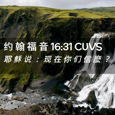 Picture 02 - 约 翰 福 音 16:31 CUVS - 耶 稣 说 ： 现 在 你 们 信 麽 - Bible Verse Picture