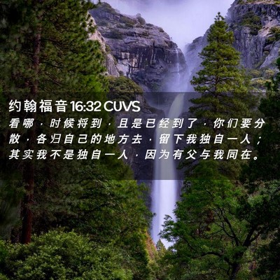 Picture 02 - 约 翰 福 音 16:32 CUVS - 看 哪 ， 时 候 将 到 ， 且 是 已 经 - Bible Verse Picture