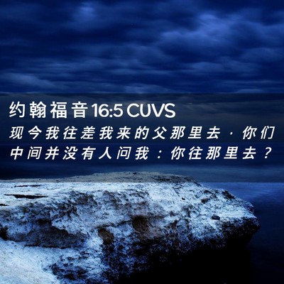 Picture 02 - 约 翰 福 音 16:5 CUVS - 现 今 我 往 差 我 来 的 父 那 里 去 - Bible Verse Picture