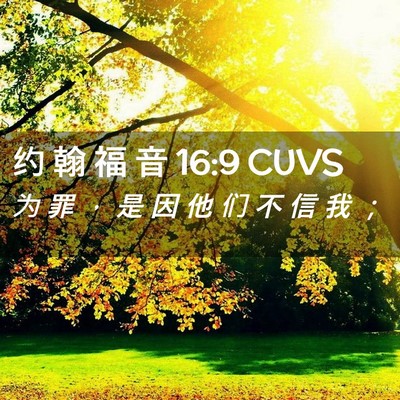 Picture 02 - 约 翰 福 音 16:9 CUVS - 为 罪 ， 是 因 他 们 不 信 我 - Bible Verse Picture