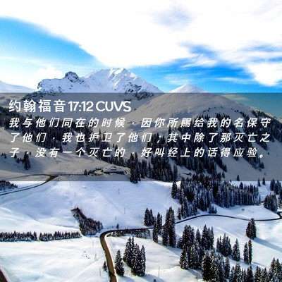 Picture 02 - 约 翰 福 音 17:12 CUVS - 我 与 他 们 同 在 的 时 候 ， 因 你 - Bible Verse Picture