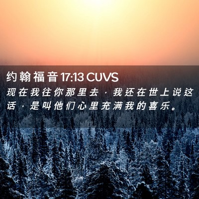 Picture 02 - 约 翰 福 音 17:13 CUVS - 现 在 我 往 你 那 里 去 ， 我 还 在 - Bible Verse Picture