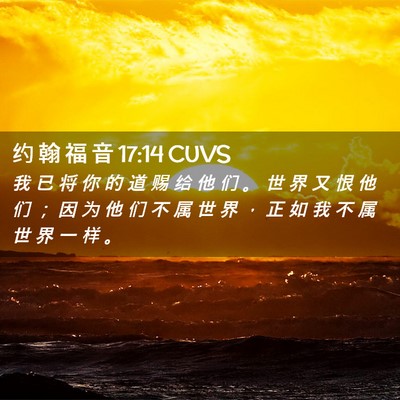 Picture 02 - 约 翰 福 音 17:14 CUVS - 我 已 将 你 的 道 赐 给 他 们 。 世 - Bible Verse Picture