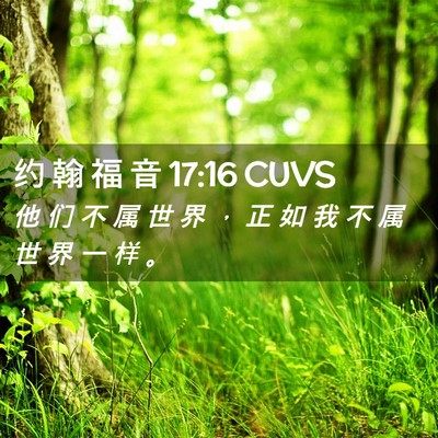 Picture 02 - 约 翰 福 音 17:16 CUVS - 他 们 不 属 世 界 ， 正 如 我 不 属 - Bible Verse Picture