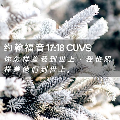 Picture 02 - 约 翰 福 音 17:18 CUVS - 你 怎 样 差 我 到 世 上 ， 我 也 照 - Bible Verse Picture