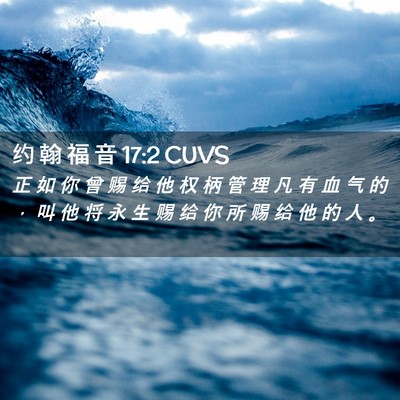Picture 02 - 约 翰 福 音 17:2 CUVS - 正 如 你 曾 赐 给 他 权 柄 管 理 凡 - Bible Verse Picture