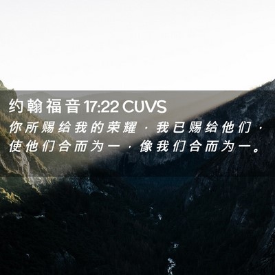 Picture 02 - 约 翰 福 音 17:22 CUVS - 你 所 赐 给 我 的 荣 耀 ， 我 已 赐 - Bible Verse Picture