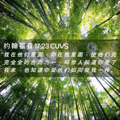 Picture 02 - 约 翰 福 音 17:23 CUVS - 我 在 他 们 里 面 ， 你 在 我 里 面 - Bible Verse Picture