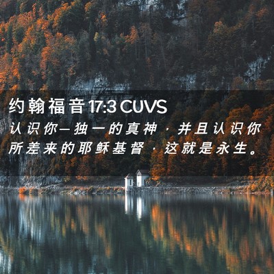 Picture 02 - 约 翰 福 音 17:3 CUVS - 认 识 你 ─ 独 一 的 真 神 ， 并 且 - Bible Verse Picture