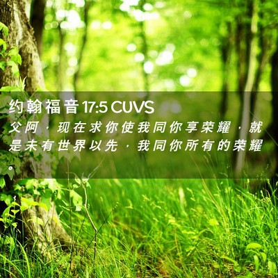 Picture 02 - 约 翰 福 音 17:5 CUVS - 父 阿 ， 现 在 求 你 使 我 同 你 享 - Bible Verse Picture