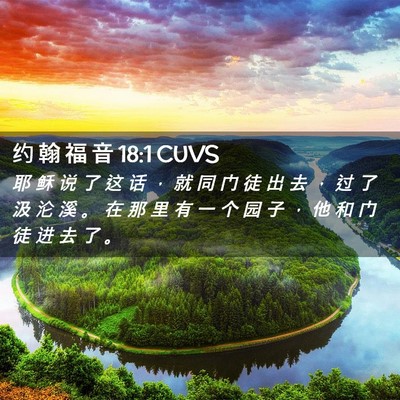 Picture 02 - 约 翰 福 音 18:1 CUVS - 耶 稣 说 了 这 话 ， 就 同 门 徒 出 - Bible Verse Picture