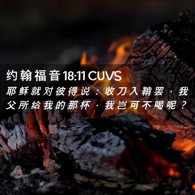 Picture 02 - 约 翰 福 音 18:11 CUVS - 耶 稣 就 对 彼 得 说 ： 收 刀 入 鞘 - Bible Verse Picture