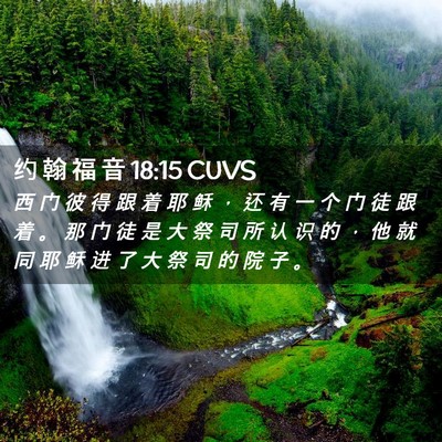 Picture 02 - 约 翰 福 音 18:15 CUVS - 西 门 彼 得 跟 着 耶 稣 ， 还 有 一 - Bible Verse Picture