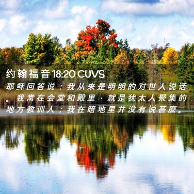 Picture 02 - 约 翰 福 音 18:20 CUVS - 耶 稣 回 答 说 ： 我 从 来 是 明 明 - Bible Verse Picture