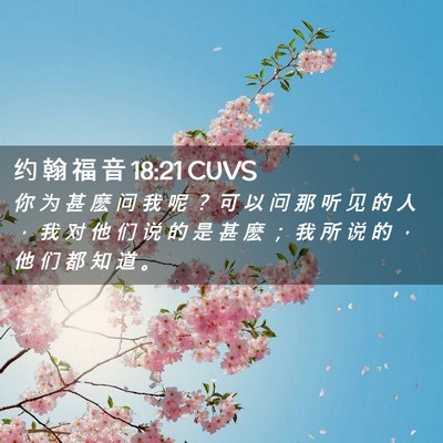 Picture 02 - 约 翰 福 音 18:21 CUVS - 你 为 甚 麽 问 我 呢 ？ 可 以 问 那 - Bible Verse Picture