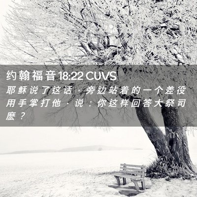 Picture 02 - 约 翰 福 音 18:22 CUVS - 耶 稣 说 了 这 话 ， 旁 边 站 着 的 - Bible Verse Picture