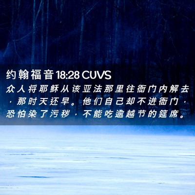 Picture 02 - 约 翰 福 音 18:28 CUVS - 众 人 将 耶 稣 从 该 亚 法 那 里 往 - Bible Verse Picture