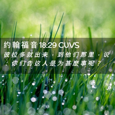 Picture 02 - 约 翰 福 音 18:29 CUVS - 彼 拉 多 就 出 来 ， 到 他 们 那 里 - Bible Verse Picture