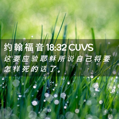 Picture 02 - 约 翰 福 音 18:32 CUVS - 这 要 应 验 耶 稣 所 说 自 己 将 要 - Bible Verse Picture