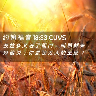 Picture 02 - 约 翰 福 音 18:33 CUVS - 彼 拉 多 又 进 了 衙 门 ， 叫 耶 稣 - Bible Verse Picture