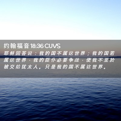 Picture 02 - 约 翰 福 音 18:36 CUVS - 耶 稣 回 答 说 ： 我 的 国 不 属 这 - Bible Verse Picture