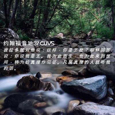 Picture 02 - 约 翰 福 音 18:37 CUVS - 彼 拉 多 就 对 他 说 ： 这 样 ， 你 - Bible Verse Picture