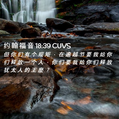 Picture 02 - 约 翰 福 音 18:39 CUVS - 但 你 们 有 个 规 矩 ， 在 逾 越 节 - Bible Verse Picture
