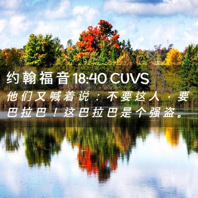 Picture 02 - 约 翰 福 音 18:40 CUVS - 他 们 又 喊 着 说 ： 不 要 这 人 ， - Bible Verse Picture