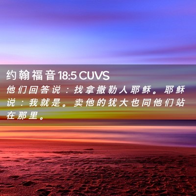 Picture 02 - 约 翰 福 音 18:5 CUVS - 他 们 回 答 说 ： 找 拿 撒 勒 人 耶 - Bible Verse Picture