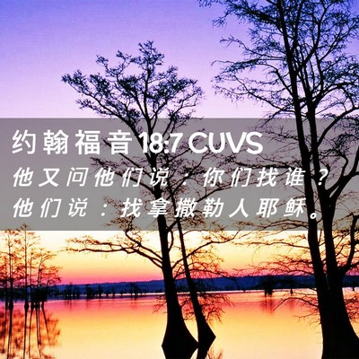 Picture 02 - 约 翰 福 音 18:7 CUVS - 他 又 问 他 们 说 ： 你 们 找 谁 ？ - Bible Verse Picture