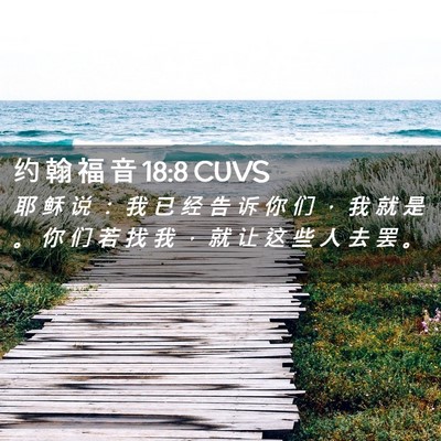 Picture 02 - 约 翰 福 音 18:8 CUVS - 耶 稣 说 ： 我 已 经 告 诉 你 们 ， - Bible Verse Picture