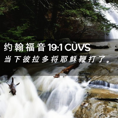 Picture 02 - 约 翰 福 音 19:1 CUVS - 当 下 彼 拉 多 将 耶 稣 鞭 打 了 - Bible Verse Picture
