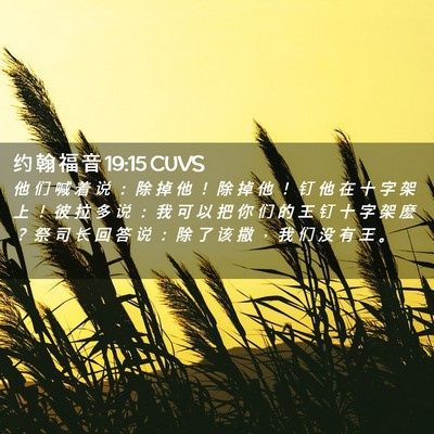 Picture 02 - 约 翰 福 音 19:15 CUVS - 他 们 喊 着 说 ： 除 掉 他 ！ 除 掉 - Bible Verse Picture