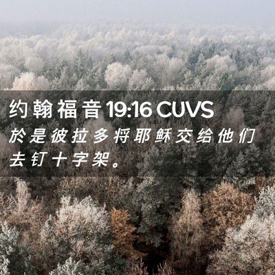 Picture 02 - 约 翰 福 音 19:16 CUVS - 於 是 彼 拉 多 将 耶 稣 交 给 他 们 - Bible Verse Picture