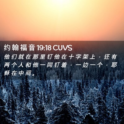 Picture 02 - 约 翰 福 音 19:18 CUVS - 他 们 就 在 那 里 钉 他 在 十 字 架 - Bible Verse Picture