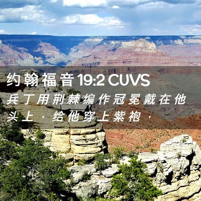 Picture 02 - 约 翰 福 音 19:2 CUVS - 兵 丁 用 荆 棘 编 作 冠 冕 戴 在 他 - Bible Verse Picture
