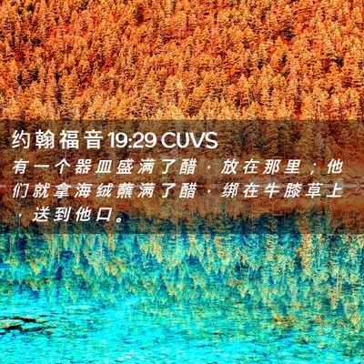 Picture 02 - 约 翰 福 音 19:29 CUVS - 有 一 个 器 皿 盛 满 了 醋 ， 放 在 - Bible Verse Picture