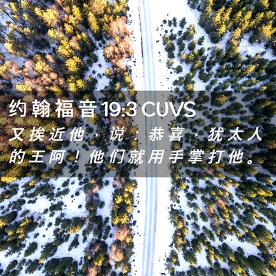 Picture 02 - 约 翰 福 音 19:3 CUVS - 又 挨 近 他 ， 说 ： 恭 喜 ， 犹 太 - Bible Verse Picture