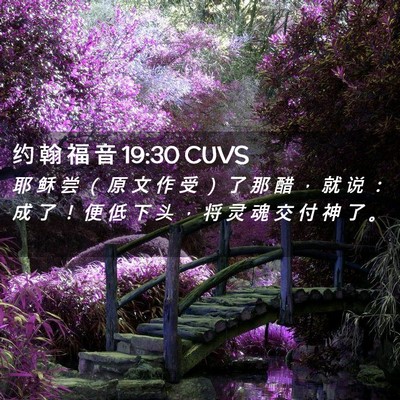 Picture 02 - 约 翰 福 音 19:30 CUVS - 耶 稣 尝 （ 原 文 作 受 ） 了 那 醋 - Bible Verse Picture