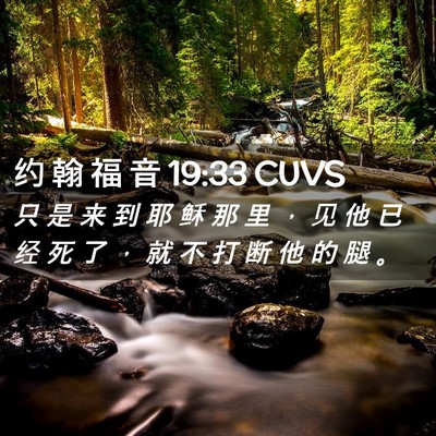 Picture 02 - 约 翰 福 音 19:33 CUVS - 只 是 来 到 耶 稣 那 里 ， 见 他 已 - Bible Verse Picture