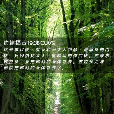 Picture 02 - 约 翰 福 音 19:38 CUVS - 这 些 事 以 後 ， 有 亚 利 马 太 人 - Bible Verse Picture