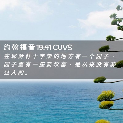 Picture 02 - 约 翰 福 音 19:41 CUVS - 在 耶 稣 钉 十 字 架 的 地 方 有 一 - Bible Verse Picture