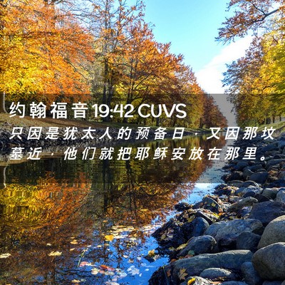 Picture 02 - 约 翰 福 音 19:42 CUVS - 只 因 是 犹 太 人 的 预 备 日 ， 又 - Bible Verse Picture