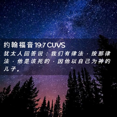 Picture 02 - 约 翰 福 音 19:7 CUVS - 犹 太 人 回 答 说 ： 我 们 有 律 法 - Bible Verse Picture