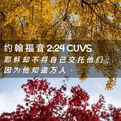 Picture 02 - 约 翰 福 音 2:24 CUVS - 耶 稣 却 不 将 自 己 交 托 他 们 ； - Bible Verse Picture