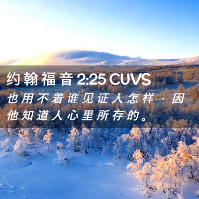 Picture 02 - 约 翰 福 音 2:25 CUVS - 也 用 不 着 谁 见 证 人 怎 样 ， 因 - Bible Verse Picture