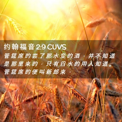 Picture 02 - 约 翰 福 音 2:9 CUVS - 管 筵 席 的 尝 了 那 水 变 的 酒 ， - Bible Verse Picture