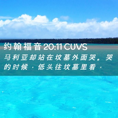Picture 02 - 约 翰 福 音 20:11 CUVS - 马 利 亚 却 站 在 坟 墓 外 面 哭 。 - Bible Verse Picture