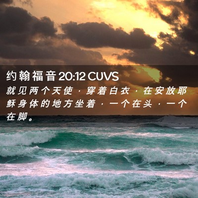 Picture 02 - 约 翰 福 音 20:12 CUVS - 就 见 两 个 天 使 ， 穿 着 白 衣 ， - Bible Verse Picture